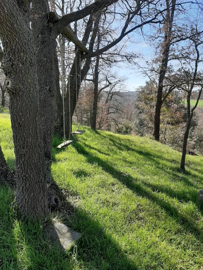 Allotjament Rural سولسونا المظهر الخارجي الصورة