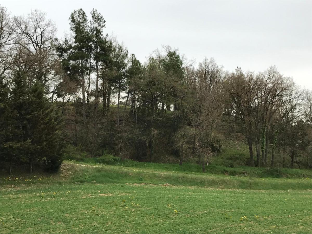 Allotjament Rural سولسونا المظهر الخارجي الصورة