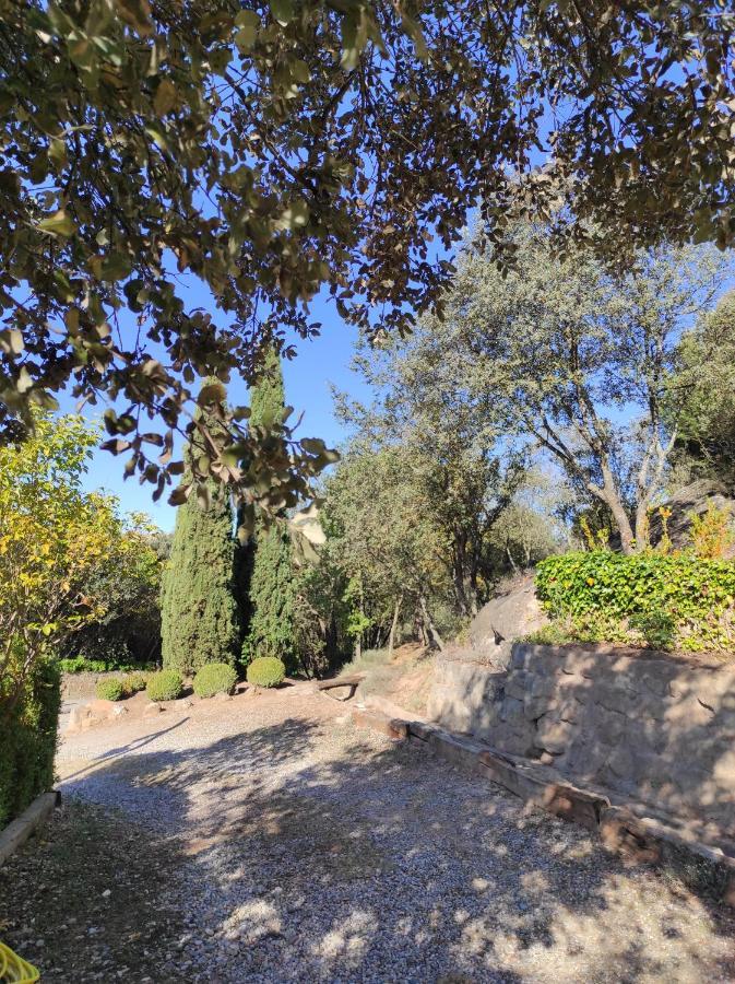 Allotjament Rural سولسونا المظهر الخارجي الصورة