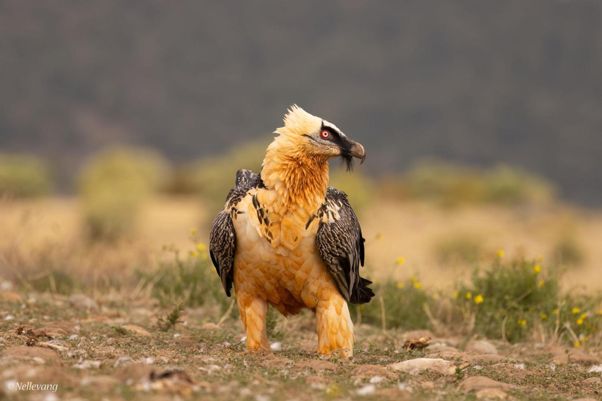 Allotjament Rural سولسونا المظهر الخارجي الصورة